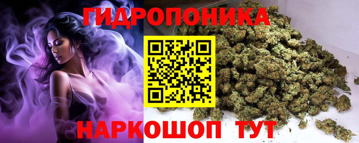 Шишки марихуана план  Вход с VPN  Марихуана OG Kush  Новодвинск  Марихуана семена 